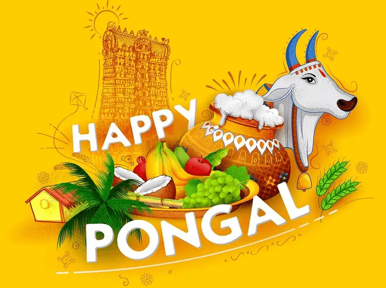 Happy Pongal Wishes Cow