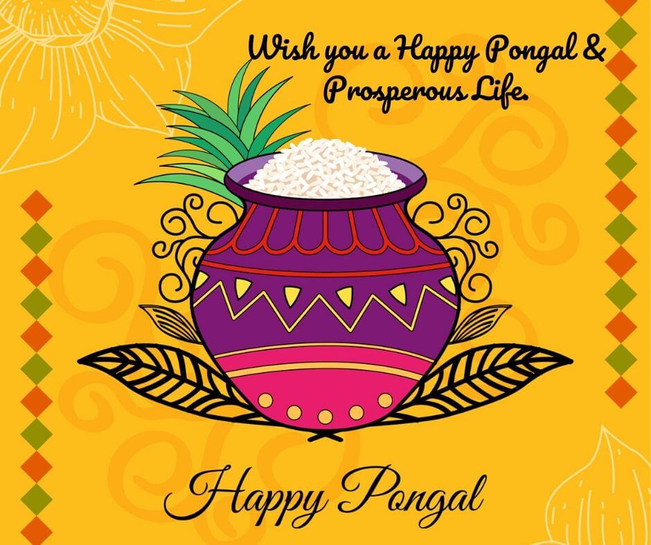 Happy Pongal Wishes Greeting card