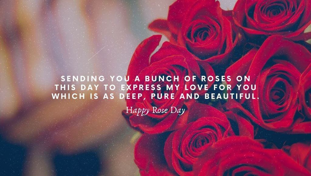Happy Rose Day 2021