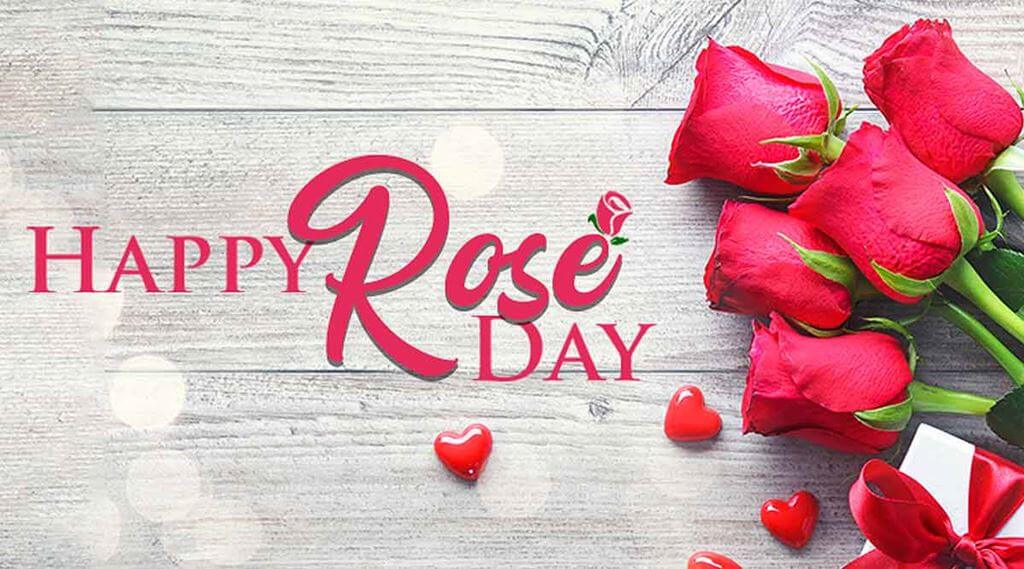 Happy Rose Day Date