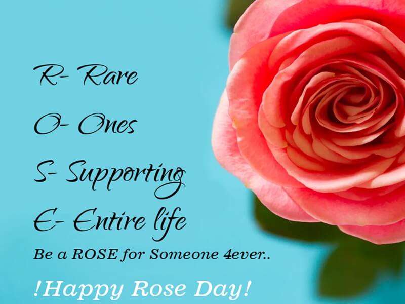 Happy Rose Day Rose