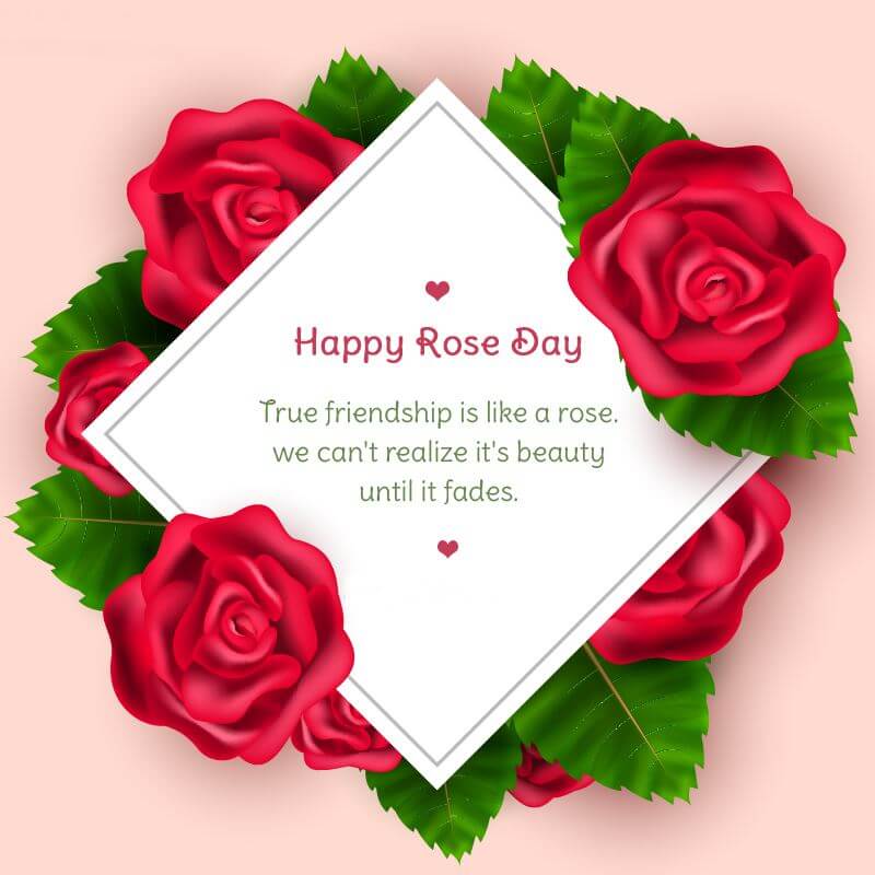 50+ Happy Rose Day Wishes 2023 – Quotes, Status, Messages, & Images